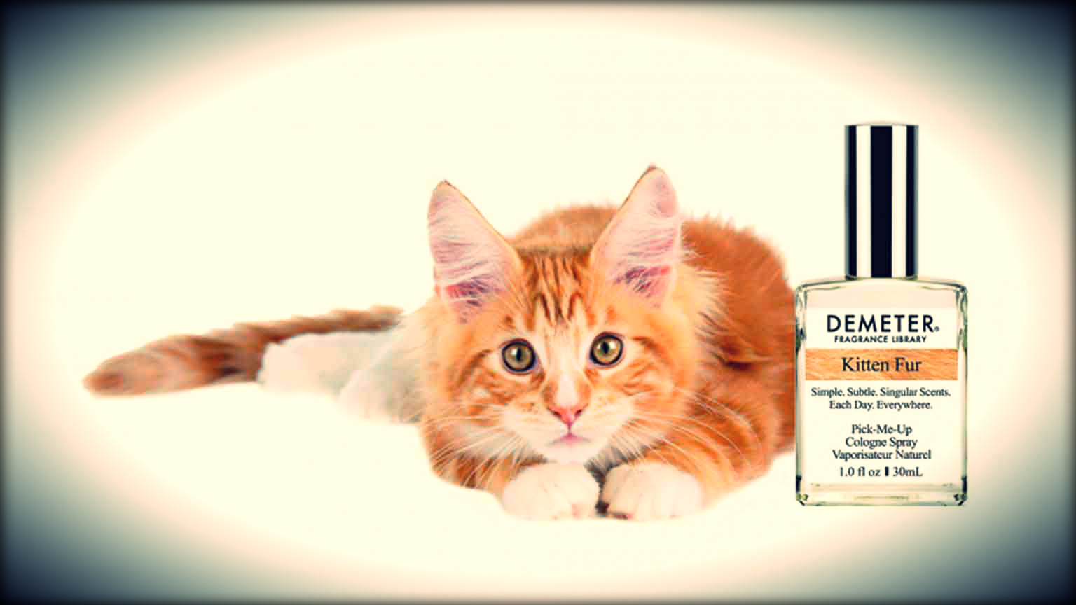 Le parfum de chaton de « Demeter » est un must-have pour les amateurs de chats !