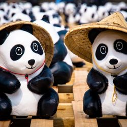 Top 15+ des idées cadeaux mignonnes pour les fans de pandas