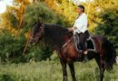 cheval