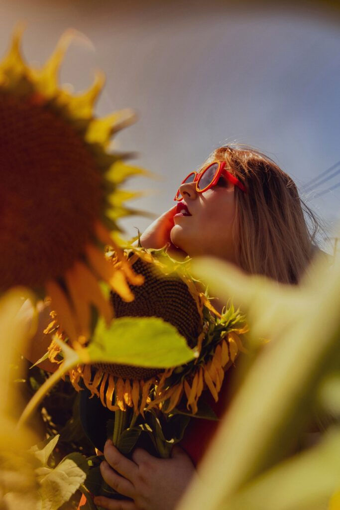 champs de tournesols